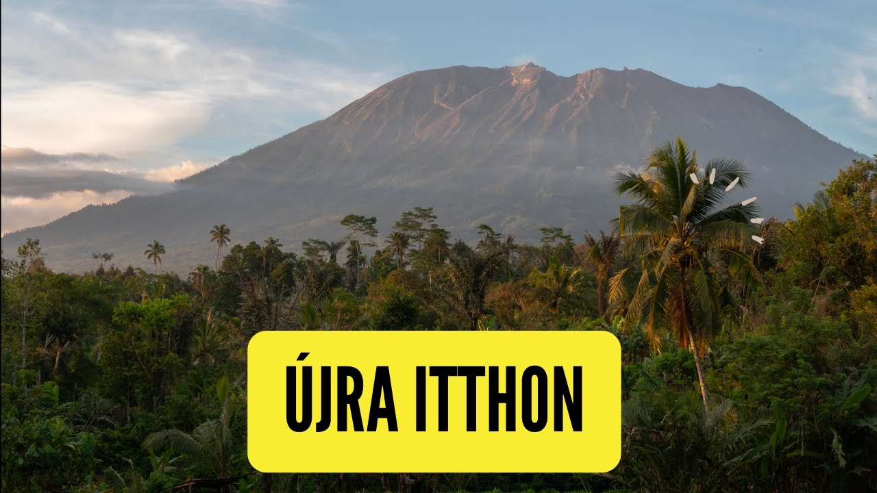 Újra itthon