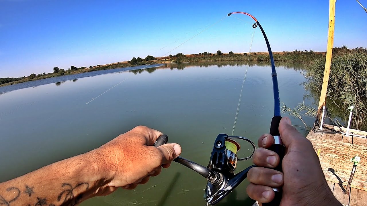 PESCUIT LA CRAP CU LANSETA DE COPCA MI-A TRAS LANSETA IN APA