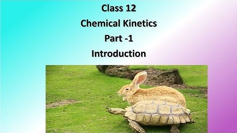 Class 12 - Chemical Kinetics - Part 1 - Introduction