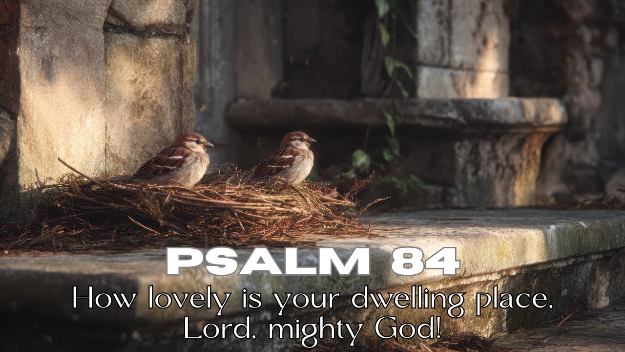 Psalm 84 | How Lovely Is Your Dwelling Place, Lord, Mighty God | Liturgical Psalm