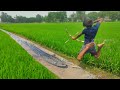 Village Natural Fishing Video | Experts Boy  Fishing With Bamboo Crossbow in Drain