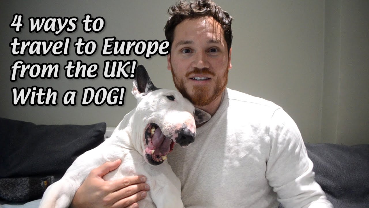 Can You Travel Around Europe With A Dog