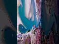 Beauty of nature is everything—//— 4k quality of natural beauty—//— clear bision #ukaudience