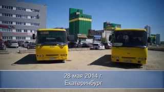Родина ждёт! Шайтан-водила улетает в Бишкек за нарушения ПДД