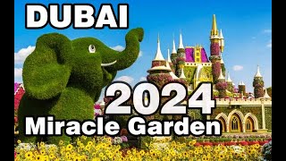 Dubai 🇦🇪 Miracle Garden [ 4K ] Walking tour 2024 season.