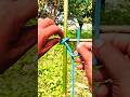 This Knot is Suitable for Tying two Bamboos, Tou can use one.!