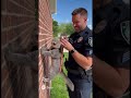 Police Catch Cat Smuggling Snacks 😹🚓 #cat #aivideo #funny #catvideos #memes