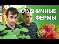 Два физика из Екатеринбурга сделали бизнес на домашних фермах | E1.RU