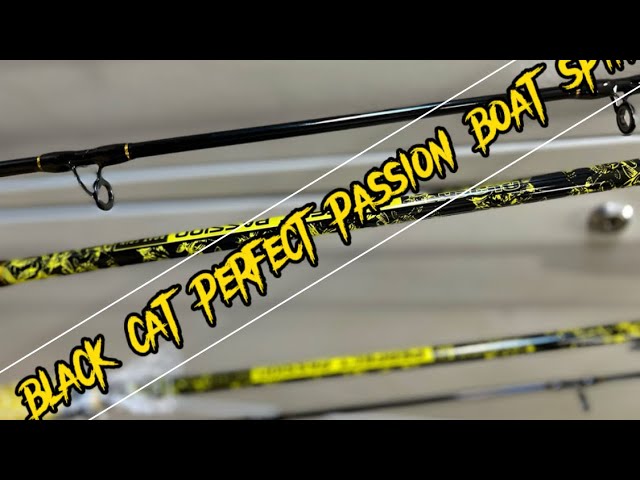 black cat perfect passion boat spin [OFFICIAL VIDEO] 