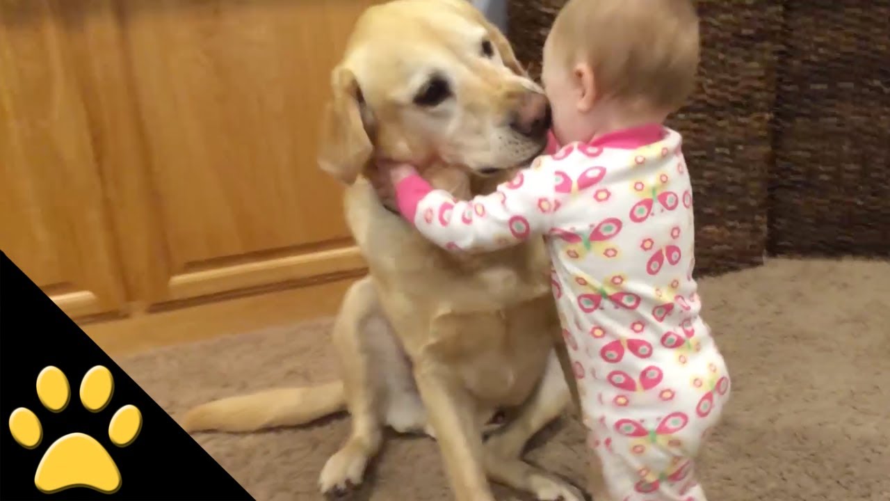 funny baby with dogimage