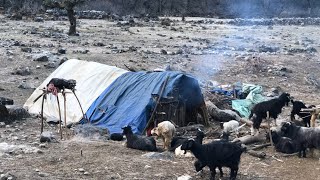 : This is Himalayan Life | Himalayan Sheep Shepherd Life in Winter |Ep-270 | Shepherd  food Cooking