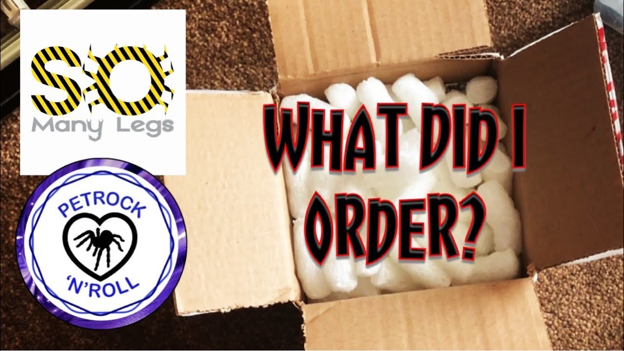 So Many Legs unboxing plus Shoutouts