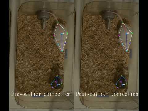 Outlier correction example