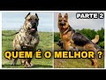 7 Melhores Cães de Guardas do Mundo - Parte 2