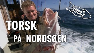 TORSK PÅ NORDSØEN // FANGSTGARANTI