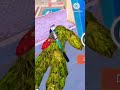 "🏕️🤣 Ultimate BGMI Camping Fails: HILARIOUS Sports Moments You Can't Miss! 😂🔥"