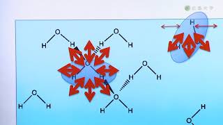 【総合科学部】An Introduction to Interface Science　界面の世界－米粉パンの研究から－