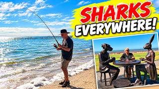 Onslow to Shark Bay