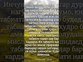 22 сентября 2025 г.