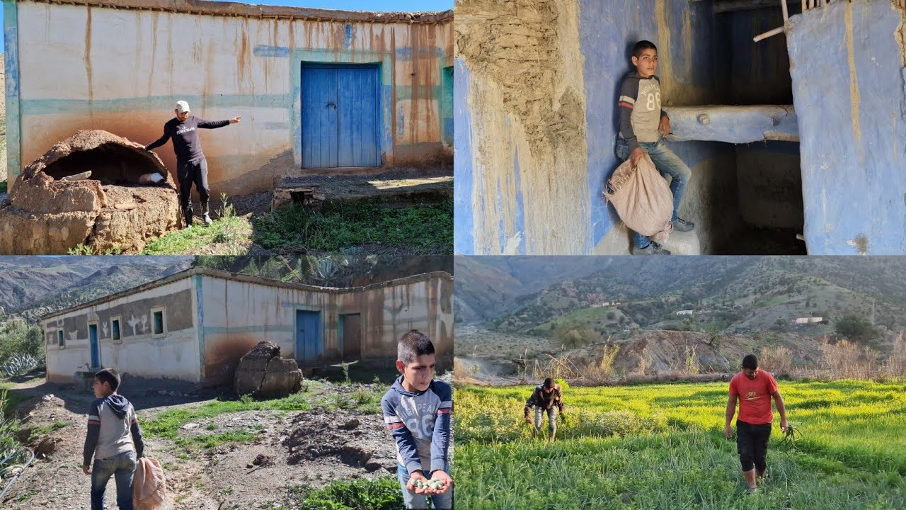 أرض مهجورة في وسط جبال الريف.. ومناظر رائعة إقليم الحسيمة 