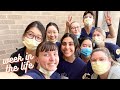 Glorified clinical week in the life of university of michigan nursing students  productive