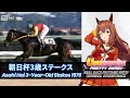 Maruzensky | Asahi Hai 3-Year-Old Stakes 1976 x Umamusume BGM | 1976年 朝日杯三歳ステークス × ウマ娘BGM