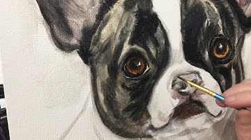 How to Render a Dog Eye in Oil Paint [30 Second Timelapse]