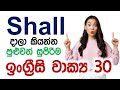 How to Use Shall in Sinhala | 30 Shall Examples in Sentence with Sinhala Meanings
