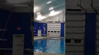 301 C Reverse Dive Tuck Position- 1m springboard diving