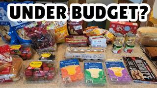 Did I Stay Under Budget? Aldi & Meijer Sales Haul + Weekly  Kroger Deals
