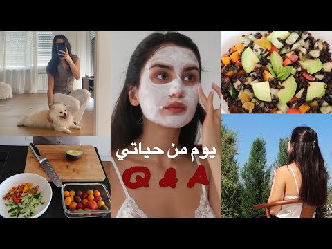 يوم من حياتي شو بأكل أسئلة وأجوبة