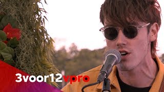 Hippo Campus - Sessie op Pinkpop 2019