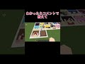 問題：これなーんだ！わかった人はコメントで教えて【マインクラフト】