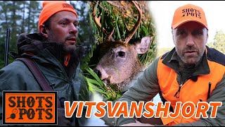 DREV- OCH VAKJAKT PÅ VITSVANSHJORT - Lubbe och Danyel åker till Finland och jagar