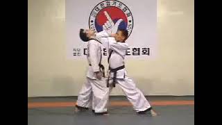 KHF Hapkido techniques
