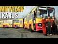 IKARUS 293 - NAJWIĘKSZY JAKI POWSTAŁ!