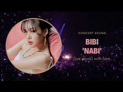 bibi ‘nabi’ concert sound (live vocal) with fans