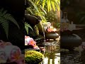 Deep Sleep in 5 Minutes | Tropical Water Sounds