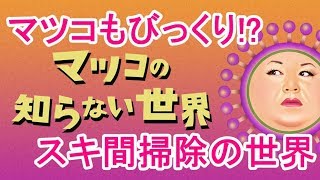 【マツコの知らない世界】スキ間掃除の世界