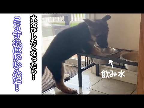何でも楽しんじゃえばいいのさ！｜PECO