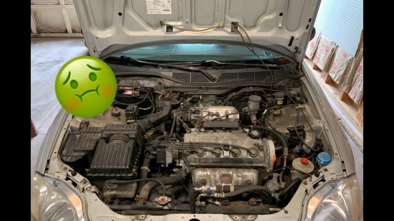 Cleaning the Engine Bay of the Civic YouTube