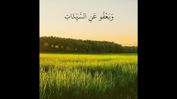 تلاوة خاشعة تريح القلب | القارئ سمير عزت | وَهُوَ الَّذِي يَقْبَلُ التَّوْبَةَ عَنْ عِبَادِهِ