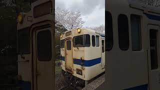 肥薩線キハ47、桜咲く嘉例川駅発車。#鉄道 #キハ47 #肥薩線 #嘉例川駅 #桜 #鹿児島 #jr #train #railway #kagoshima #diesel