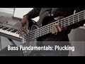 Bass Fundamentals:  Plucking Technique
