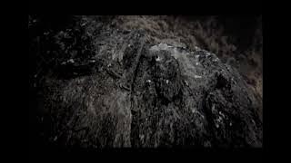 Sony Internet TV with X-Reality Pro - True Beauty (Flowers)