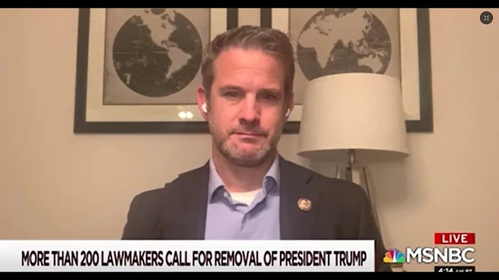 Rep. Kinzinger On MSNBC Morning Joe: Call For President Trump's Removal