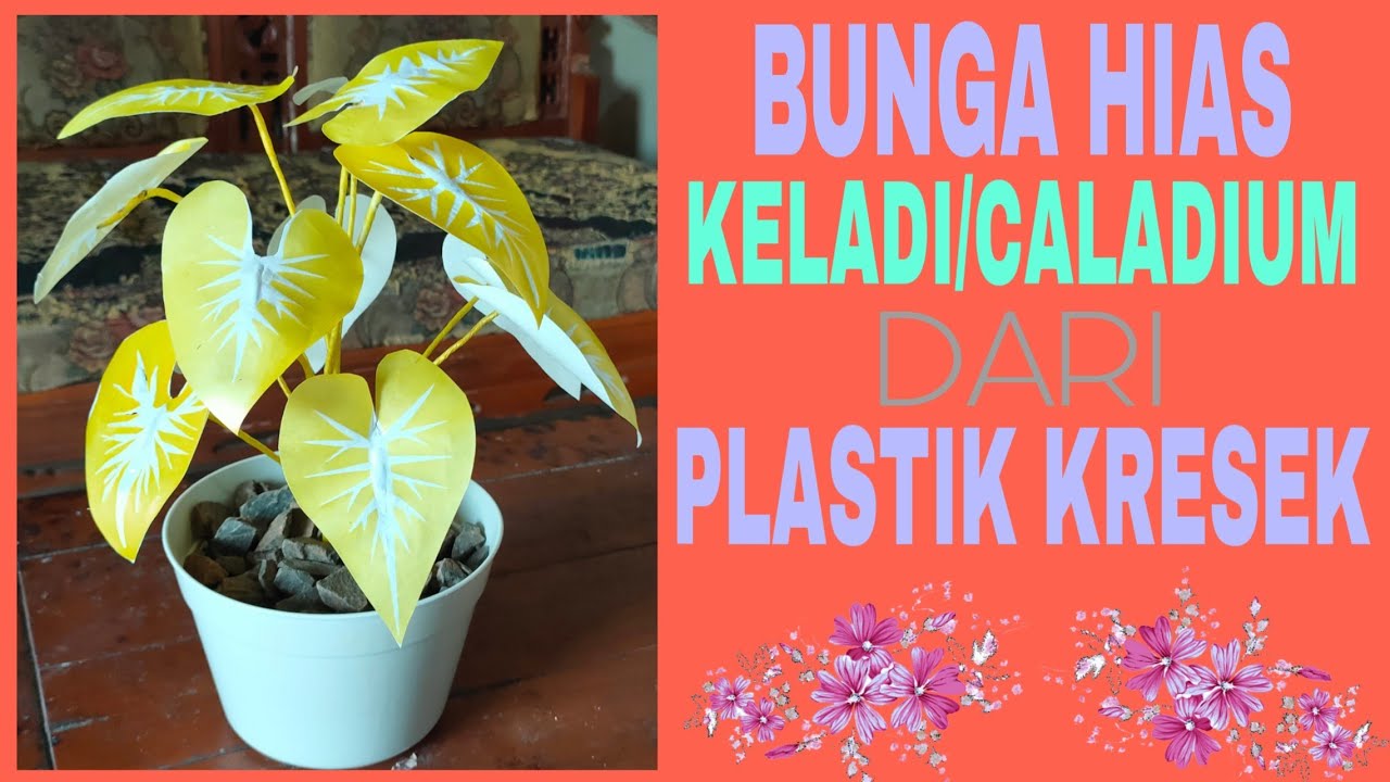 DIY Cara  Membuat  Tanaman  Hias  Keladi Caladium dari  