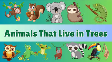 Animals That Live in Trees | Tree-Dwelling Animals for Kids | Cambridge UKG Awareness Lesson