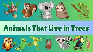 Animals That Live In Trees Tree-Dwelling Animals For Kids Cambridge Ukg Awareness Lesson