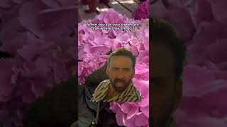 Flowers are better than Wawa